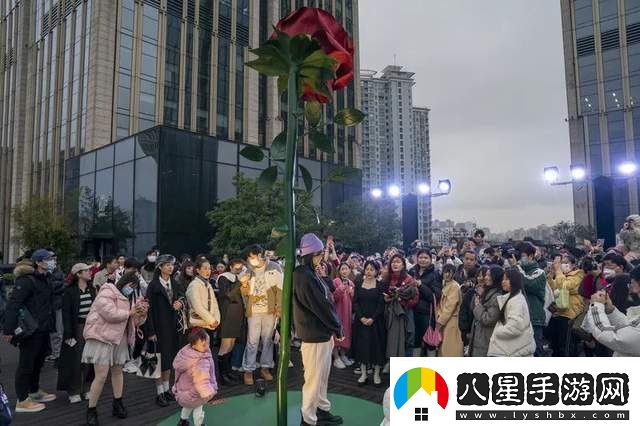 觀(guān)看波蘭八個(gè)小時(shí)的比賽視頻剪輯