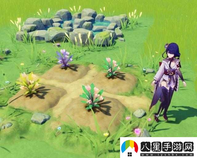 原神夢(mèng)里生花活動(dòng)玩法夢(mèng)里生花種花玩法獎勵