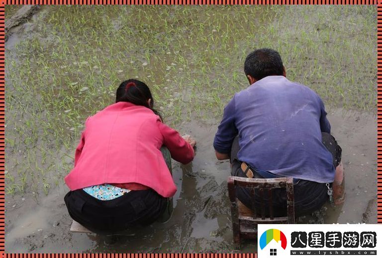 插秧情侶創(chuàng  )新界的“泥腿子”傳奇