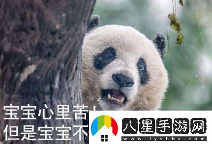 絡(luò )用語(yǔ)寶寶心里苦但寶寶不說(shuō)是什么梗