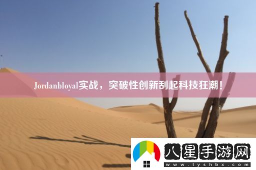 Jordanbloyal實(shí)戰