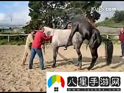 “科技圈笑話(huà)