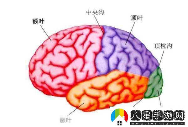分裂之門(mén)2震撼來(lái)襲