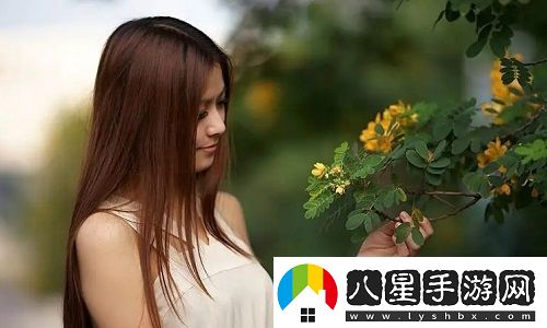 麻豆精品無(wú)人區碼一二三區別