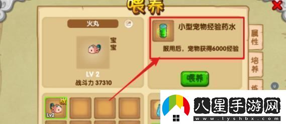 造夢(mèng)西游ol寵物怎么升級快