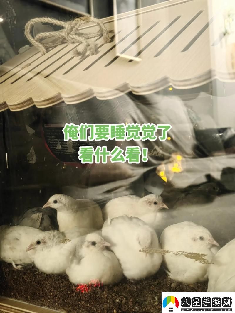 睡覺(jué)握雛雞一晚科技界炸了！