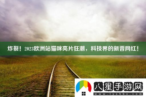 炸裂！2023歐洲站貓咪亮片狂潮