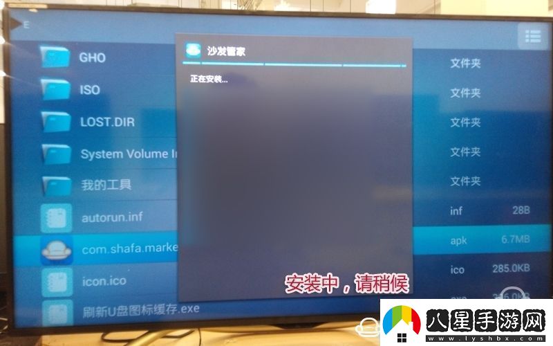 夏普LCD40DS72A通過(guò)U盤(pán)安裝第三方應用