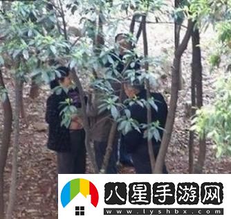 “森林里的‘老年團購’