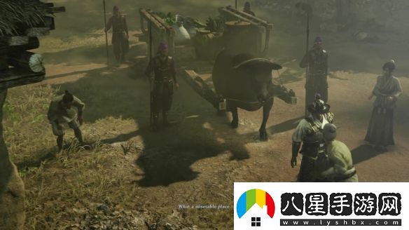 IGN真三國無(wú)雙