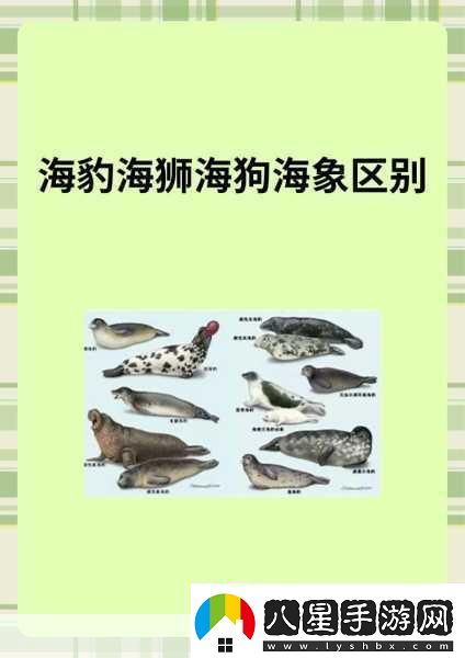 AAAA級毛皮最火的一句透露了中文社區開(kāi)放信息深度解析AAAA級毛皮在中文社區的熱潮與趨勢