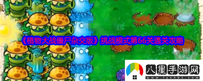 植物大戰僵尸雜交版挑戰模式第66關(guān)怎么過(guò)關(guān)