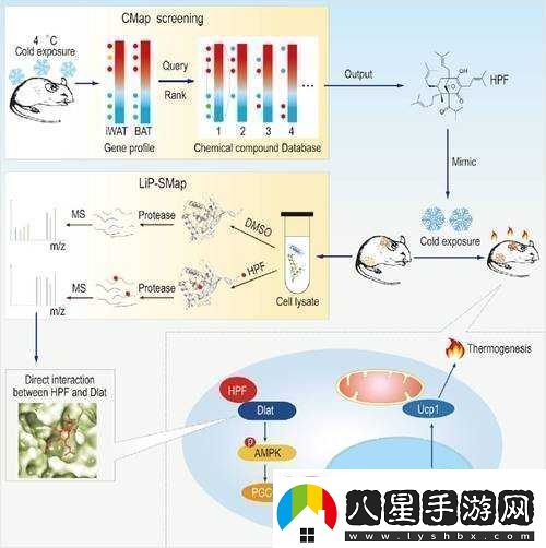 英雄之戰攻略養成篇