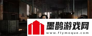 潛行者2輻射狀態(tài)如何解除潛行者2輻射效果治療與應對方法