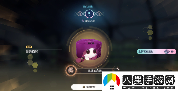 崩壞星穹鐵道1.6異寵拾遺團聚任務(wù)怎么做
