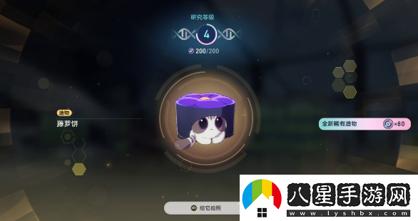 崩壞星穹鐵道1.6異寵拾遺團聚任務(wù)怎么做