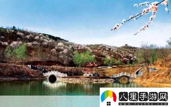 jy收集系統白清素