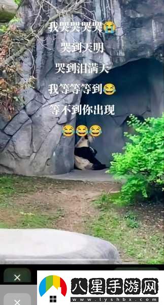 趙麗雅公交車(chē)回家的故事