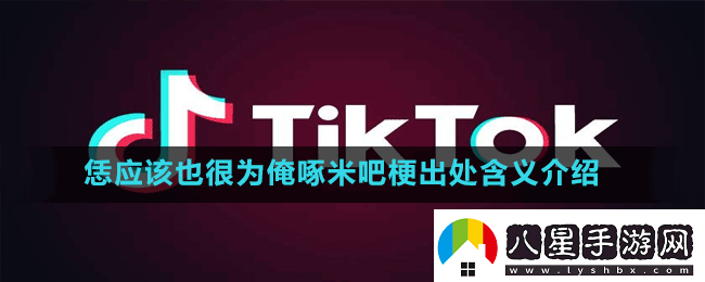 恁應該也很為俺啄米吧是什么梗