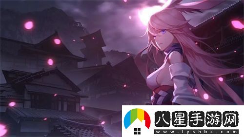 日產(chǎn)mv和歐美mv的外觀(guān)對比