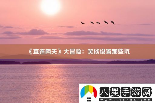 直連網(wǎng)關(guān)大冒險