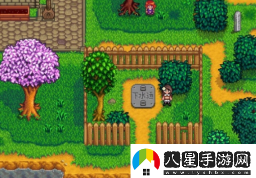 星露谷物語(yǔ)科羅布斯在哪星露谷物語(yǔ)科羅布斯位置