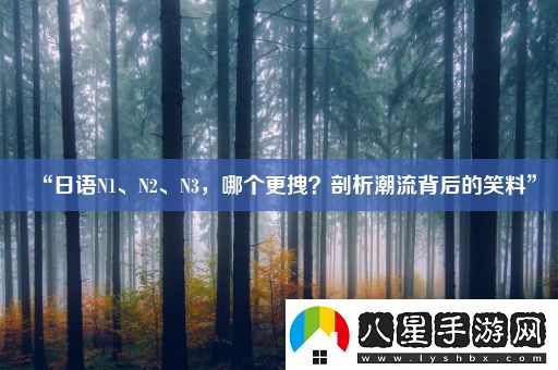 “日語(yǔ)N1、N2、N3