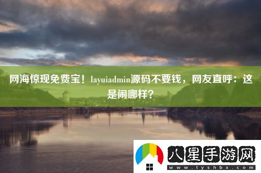 網(wǎng)海驚現免費寶！layuiadmin源碼不要錢(qián)