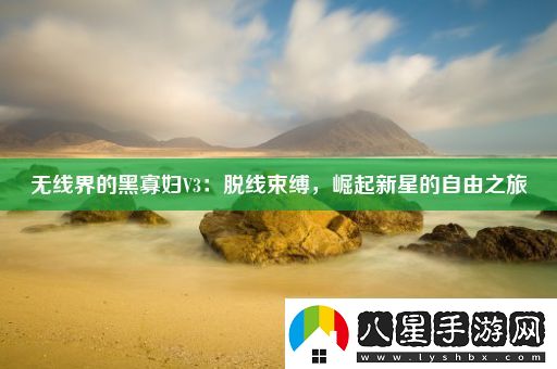 無(wú)線(xiàn)界的黑寡婦V3