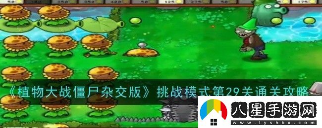 植物大戰僵尸雜交版挑戰模式第29關(guān)通關(guān)攻略