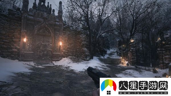 生化危**所有窗戶(hù)搜集指南與技巧分享