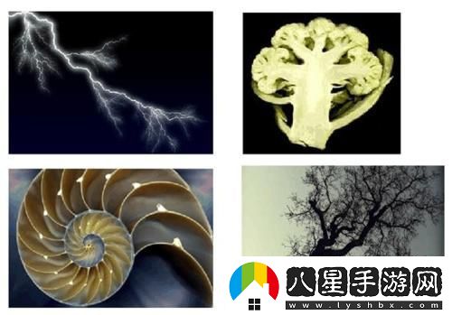 “空間相似性”奇葩說(shuō)