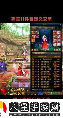 地下城與勇士DNF絕版寶寶收藏指南！
