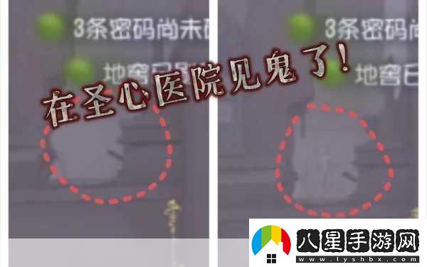 第五人格圣心醫院出生點(diǎn)全揭秘