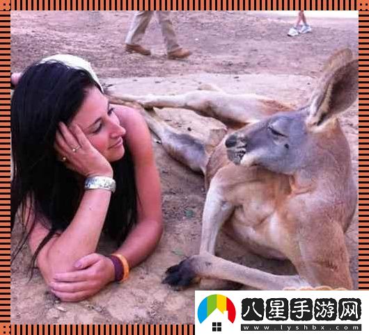 “奇趣互動(dòng)！高清時(shí)代的人物與動(dòng)物‘吵架’日常