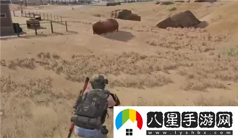 風(fēng)云島伏擊圈完整攻略與技巧分享，助你輕松勝出