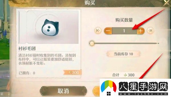 怎樣獲得無(wú)限暖暖襯衫毛團，全面解析獲取途徑和技巧