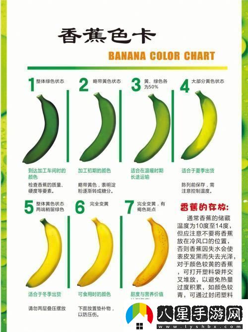 香蕉十八度和二十三度的區別