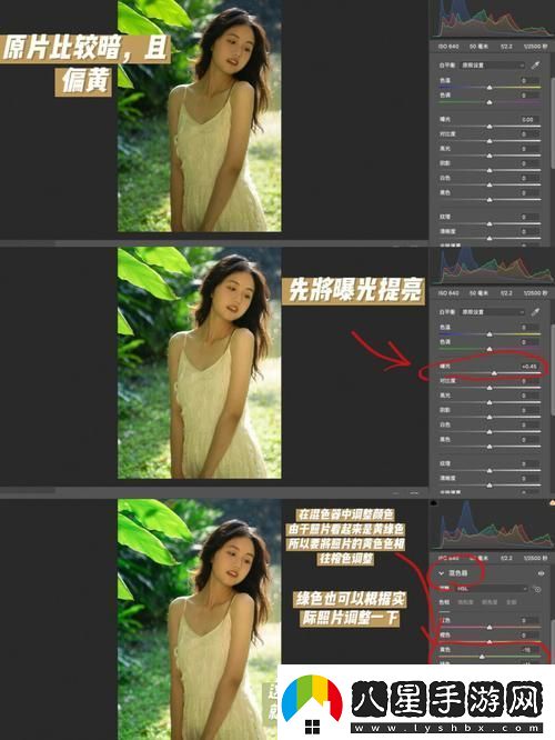 探索“PS一級二級調色大片”的魅力與技巧