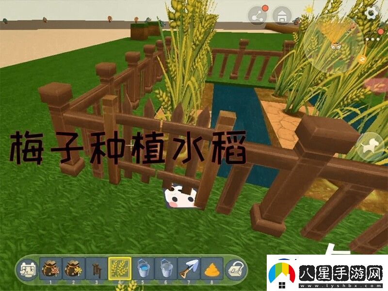 2023迷你世界農作物大全