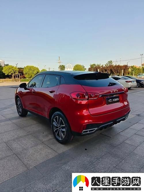 領(lǐng)先科技WEYVV5國產(chǎn)車(chē)型