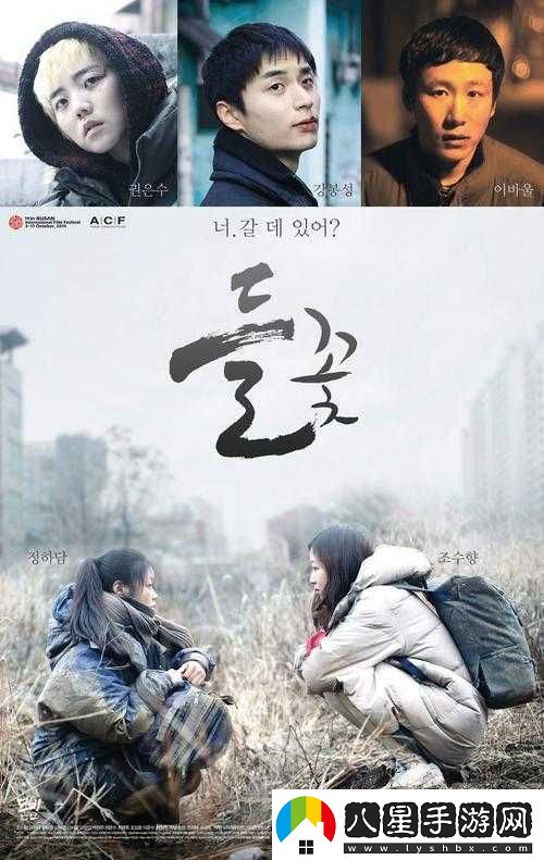 野花韓國高清在線(xiàn)觀(guān)看
