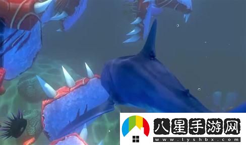 如何駕駛永久雷諾？詳細技巧與駕駛注意事項分享
