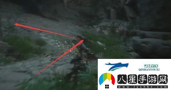 黑神話(huà)悟空黃花觀(guān)虎蛇蟲(chóng)林土地廟在哪