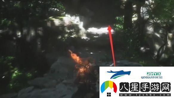 黑神話(huà)悟空黃花觀(guān)虎蛇蟲(chóng)林土地廟在哪