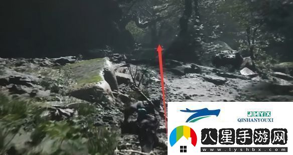 黑神話(huà)悟空黃花觀(guān)虎蛇蟲(chóng)林土地廟在哪