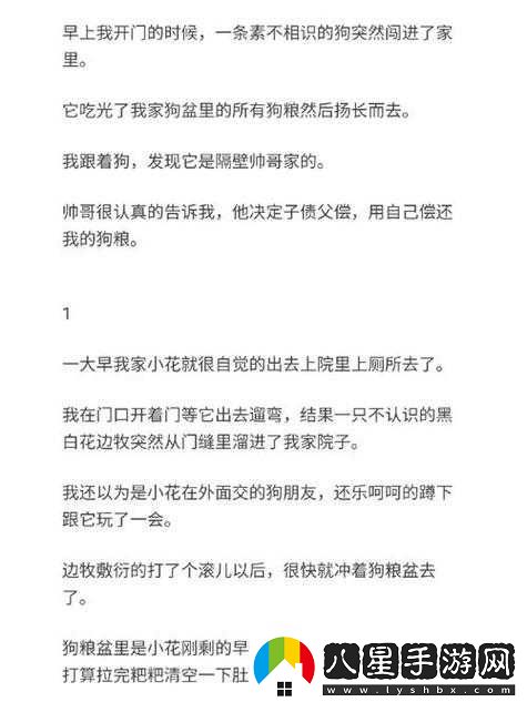 混亂小鎮售票員用