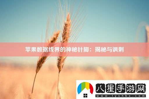 蘋(píng)果數據線(xiàn)界的神秘針腳