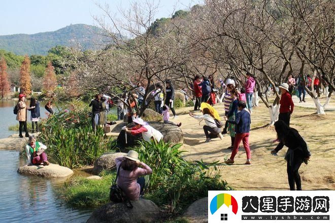 “萌翻！科技公園‘秀’操作