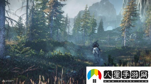 巫師4官宣地圖規模與3代無(wú)差異但會(huì )更注重大場(chǎng)景和質(zhì)量